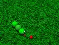 3D Snake