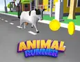 Animal Run