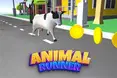 Animal Run