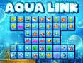 Aqua Link
