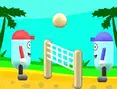 Beach Volleyball