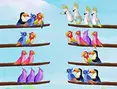 Bird Sort Puzzle