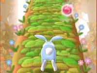 Bunny Run