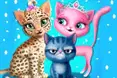 Cat Hair Salon