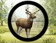 Contract Deer Hunter