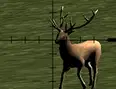 Deer Hunter