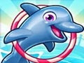 Delphin Show