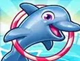 Delphin Show