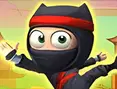 Der Ninja