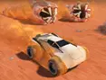 Desert Worms