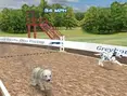Dog Racing Simulator