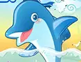 Dolphin Pop