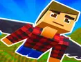 Elytra Flight