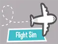Flight Sim