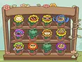 Flower Collection