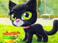 Happy Cat