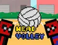 Head Volley