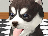 Hunde-Simulator