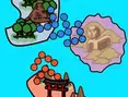 Island.io