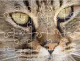 Jigsaw Puzzle Classic