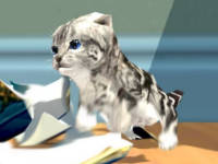Katzen- Simulator