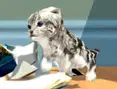 Katzen- Simulator