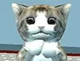 Katzensimulator 3D