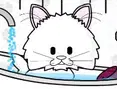Kitty Care