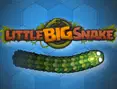 LittleBigSnake