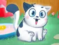 Meow Meow Life