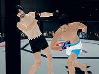 MFS: MMA Fighter