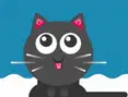 Milk For Cat