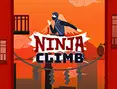 Ninja Climb