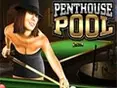 Penthouse-Billard