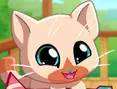 Pocket Pets: Kätzchen