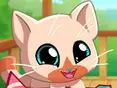 Pocket Pets: Kätzchen