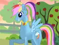 Pony Designer