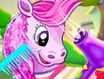 Pony-Salon