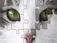 Puzzle Deluxe