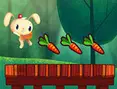 Rabbit Run