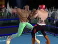 Real Boxing Fighting