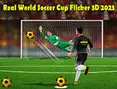 Real World Soccer Cup Flicker 3D 2023