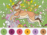 Relax Coloring