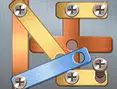 Screw Puzzle