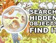 Search Hidden Objects: Find It
