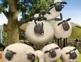 Shaun das Schaf: Herde hüten