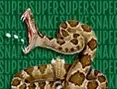 SuperSnake.io