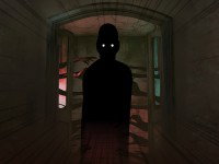 Survive The Night