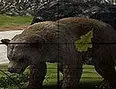 Tierjagd 3D