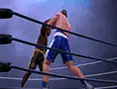 Ultimate Boxing